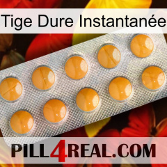 Tige Dure Instantanée levitra1
